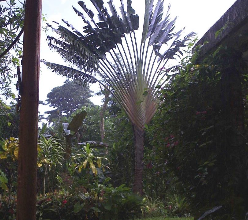 Photo of Others in Las Terrenas