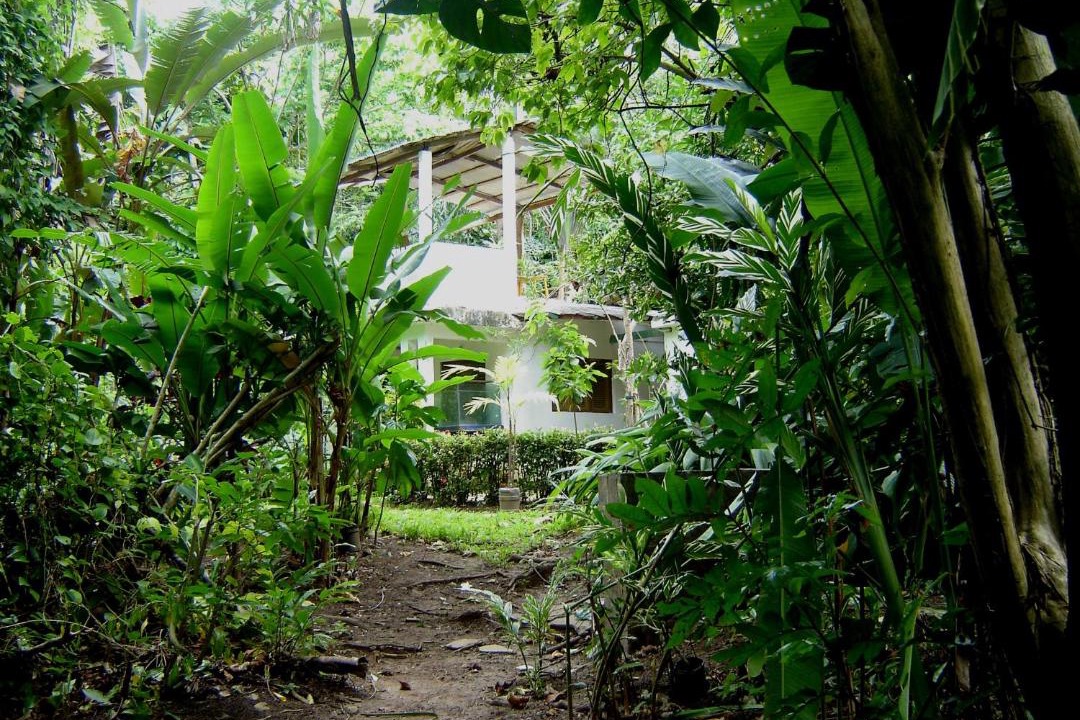 Photo of Others in Las Terrenas