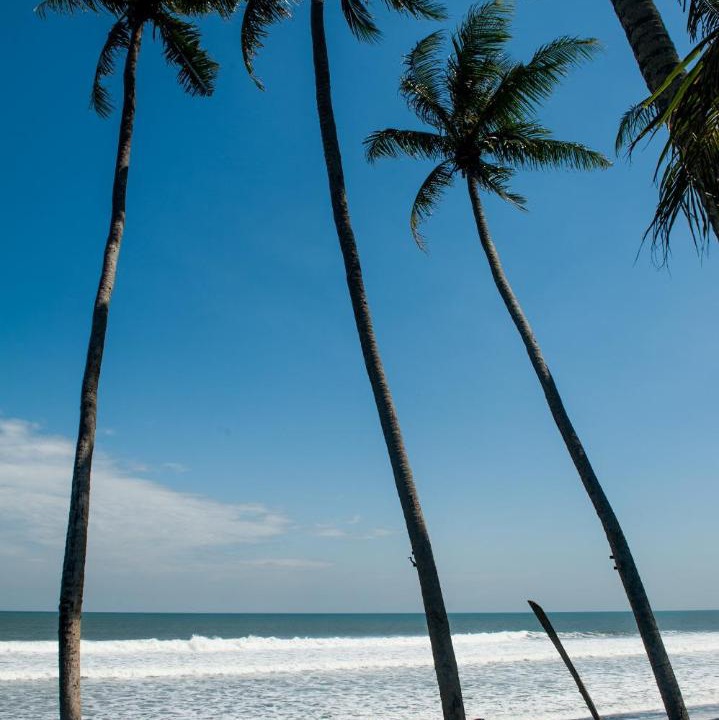Photo of Outdoor in Kerambitan