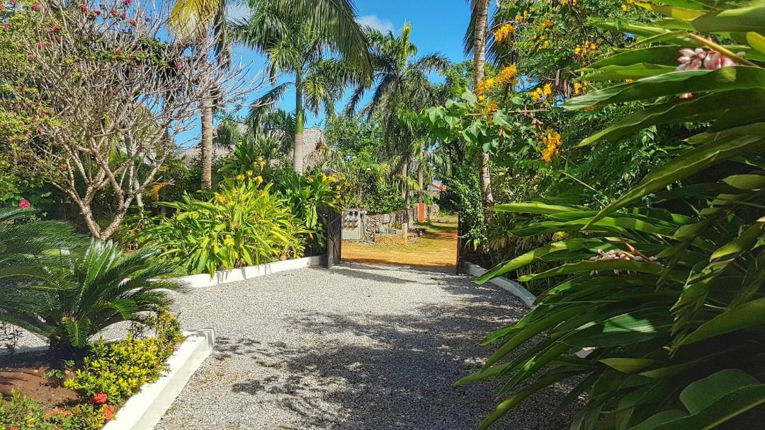 Photo of Others in Las Galeras
