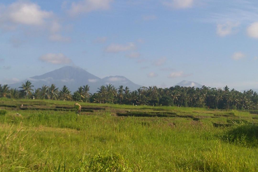 Photo of Others in Tabanan