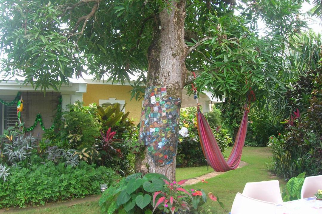 Photo of Others in Las Galeras