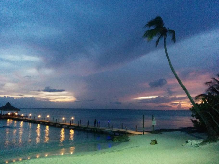 Photo of Others in Dominicus
