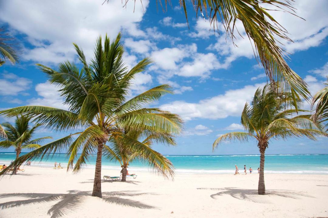 Photo of Outdoor in Bavaro