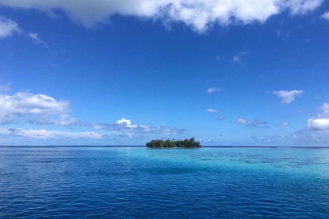 Photo of Others in Teahupoo