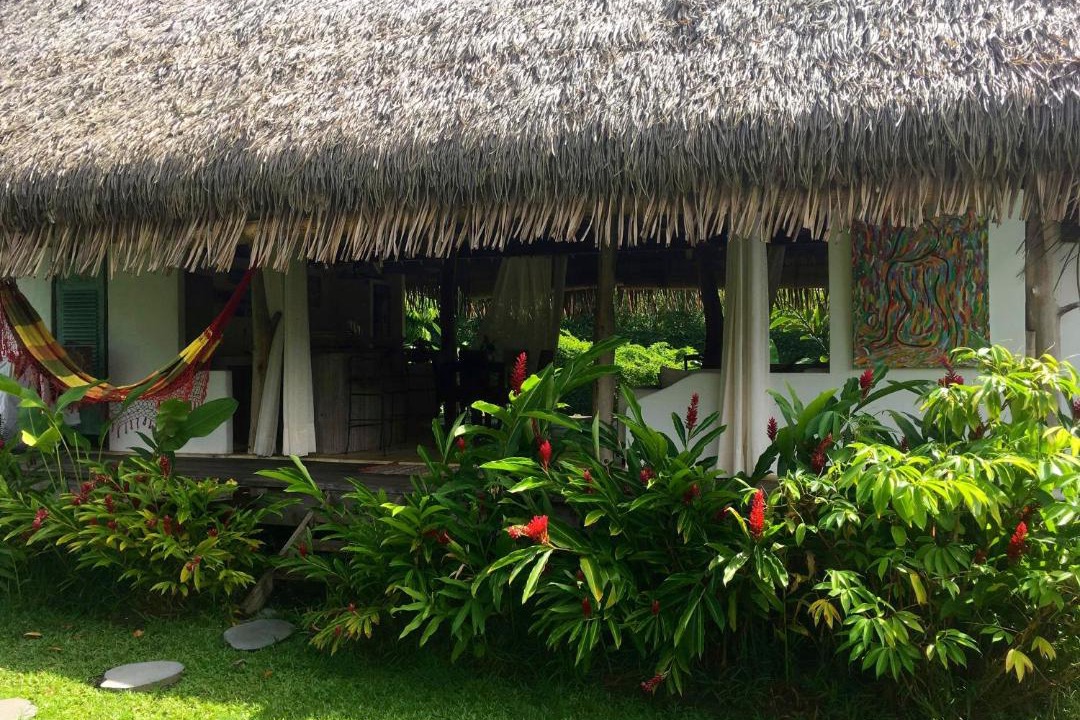 Photo of Others in Teahupoo