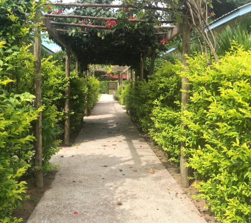Photo of Outdoor in La Passe