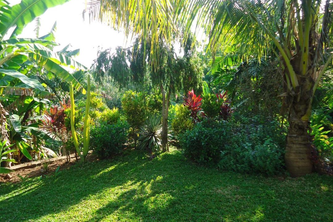 Photo of Outdoor in Tukad Mungga