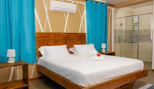 Comfort Apartment, 1 King Bed