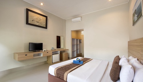 Superior Double or Twin Room