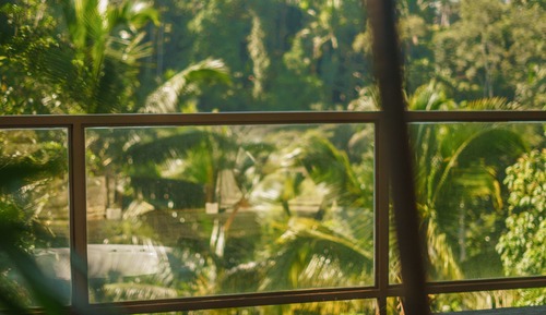 Jungle Jacuzzi Lodge - Adults Only