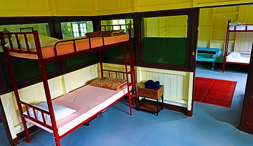 Economy Shared Dormitory, Garden View