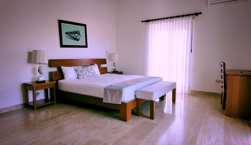  One Bedroom Standard Apartment 