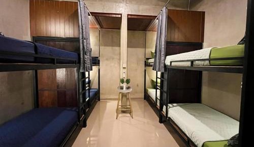 Bunk Bed in Mixed Dormitory Room