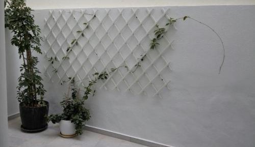 Semi-Basement Studio with Courtyard