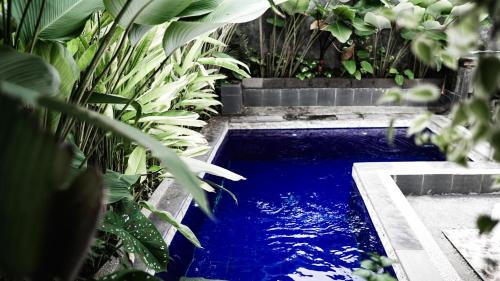 Double Room with Pool View