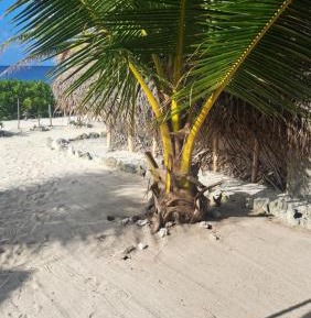Bungalow - Beach Front