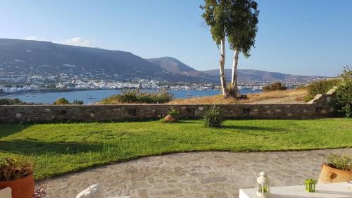 Economy Studio Apartment with Sea View (Ground Floor)