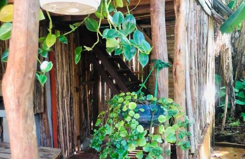 Samana Other | Ranchito PyP