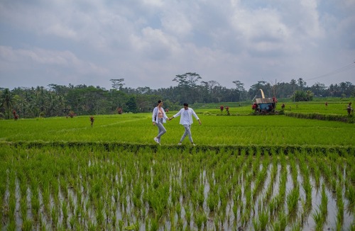 Kedewatan Hotel | Puri Wulandari - A Boutique Resort & Spa