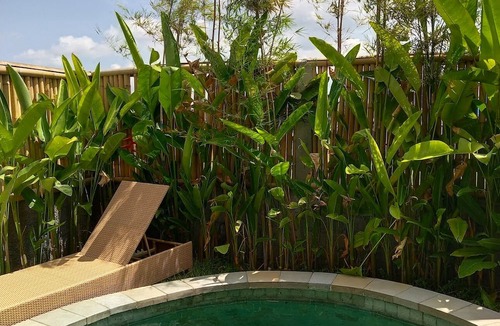 Dalung House | Cozy 2-bedroom villa with pool in Padonan, Canggu