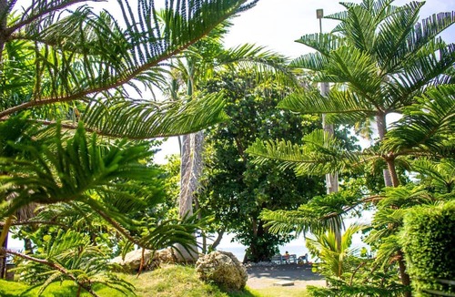 Sabana Palenque Bed & Breakfast | Coconut Beach Apartment @drvacationsrental